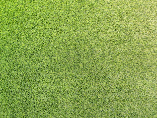 Foto um close-up de um campo de grama verde