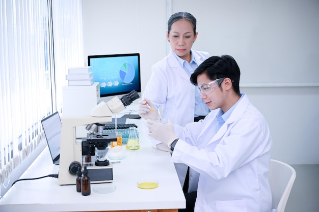 Um jovem cientista asiático inteligente e seu supervisor experimentam algum espécime em uma placa de Petri