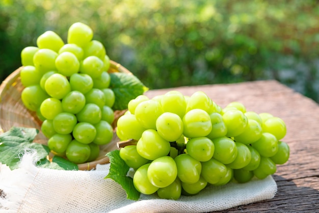 Uva verde doce em uma cesta de bambu na mesa de madeira Uva japonesa Shine Muscat em desfocar o fundo