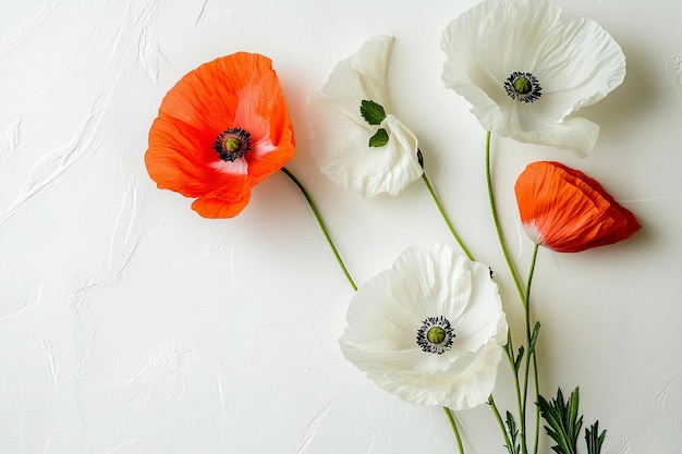 Foto viele farbige blumen im sommer auf weißem hintergrund