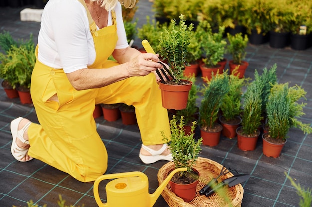 Vista aproximada Mulher idosa está no jardim durante o dia Concepção de plantas e estações