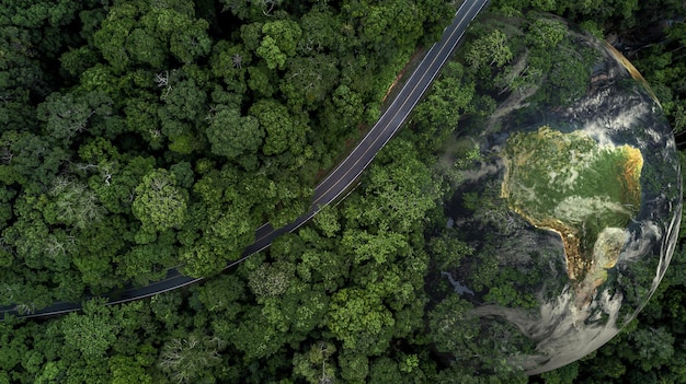 Foto vista superior aérea da floresta verde com globo terrestre planeta verde em suas mãos salve a textura da terra da floresta vista de cima do ecossistema e ambiente saudável globo e floresta