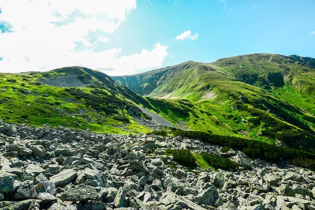 Wanderweg in der Westtatra im Sommer mit schöner Aussicht Ziarska-Tal Liptauer Region Slowakei