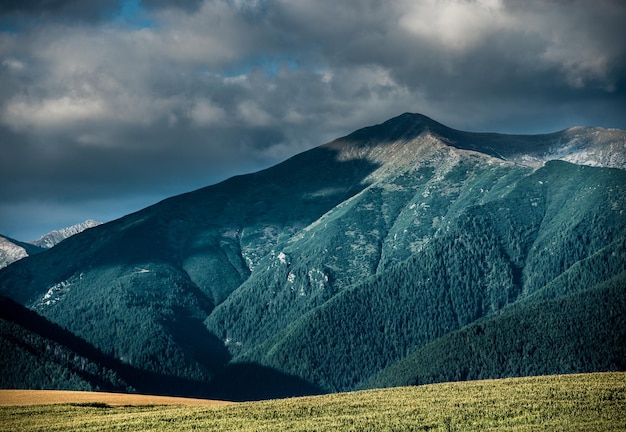 Wanderweg in der Westtatra im Sommer mit schöner Aussicht Ziarska-Tal Liptauer Region Slowakei