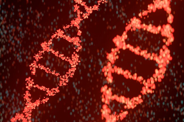 3d representation of dna