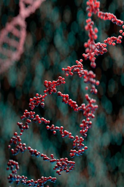 3d representation of dna