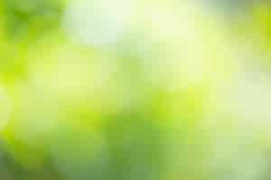 Free photo abstract blur green nature