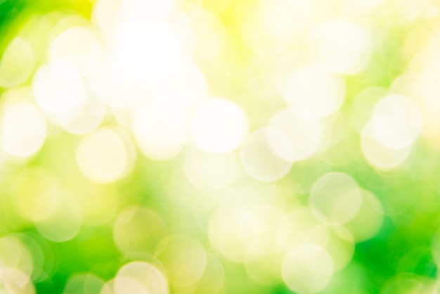 Free photo abstract green bokeh background