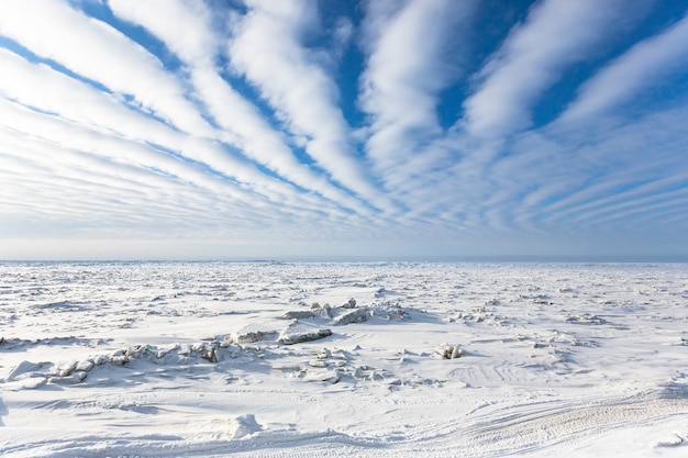 Free photo aerial photo of the frozen sea in the arctic circle near barrow, alaska