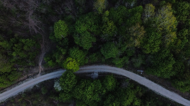 Free photo aerial shot of a dense forest with gree trees and a road - green environment