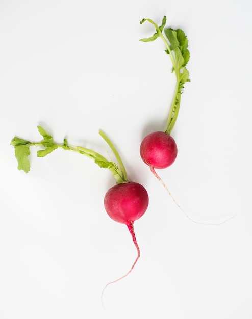 Free photo aerial view of fresh radish on white background