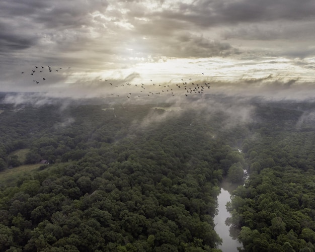 Free photo aerial view of a green forest with dense trees and a small river on a foggy day