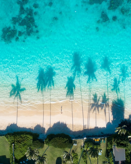 Foto gratuita vista aerea dei riflessi delle palme nelle acque turchesi del mare