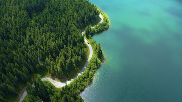 Free photo aerial view of a winding road surrounded by the ocean and the pine tree forest