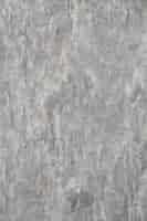 Free photo aged gray rough plaster