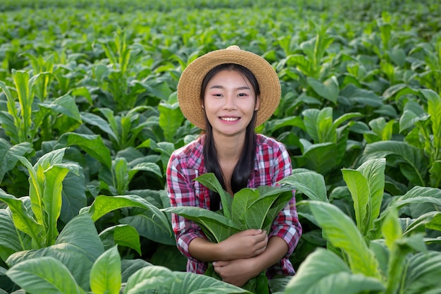 Free photo agriculturist woman looks tobacco in the field.