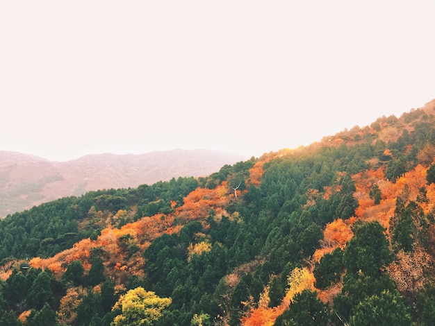 무료 사진 다채로운 나무와 산이있는 놀라운 가을 풍경