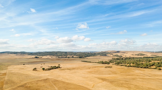 Free photo amazing landscape with dry land