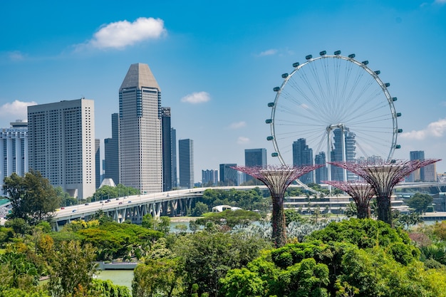 Free photo amazing shot of the gardens by the bay in singapore