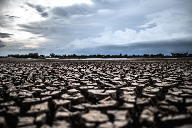 Free photo arid land with dry and cracked ground