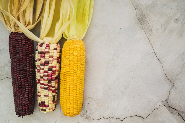 Free photo arrangement with multicolored corn on cob