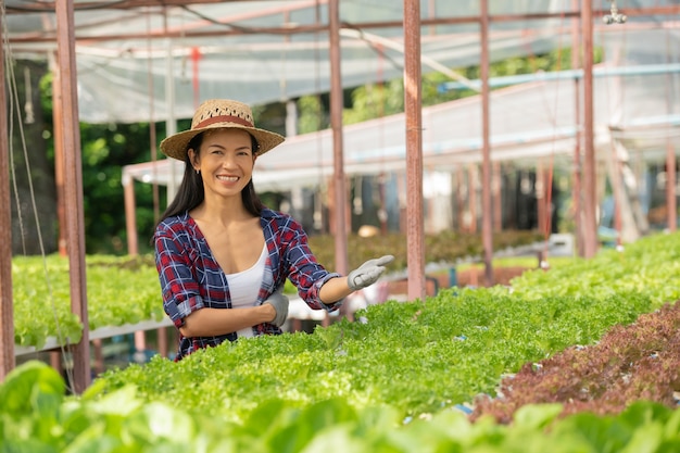 Free photo asian  woman farmers working in vegetables hydroponic farm with happiness. portrait of woman farmer checking quality of green salad vegetable with smile in the green house farm.