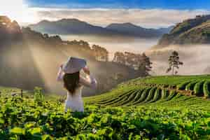 Free photo asian woman wearing vietnam culture traditional in strawberry garden on doi ang khang , chiang mai, thailand.