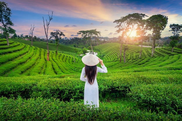 Free photo asian woman wearing vietnam culture traditional in tea plantation in chiang rai, thailand