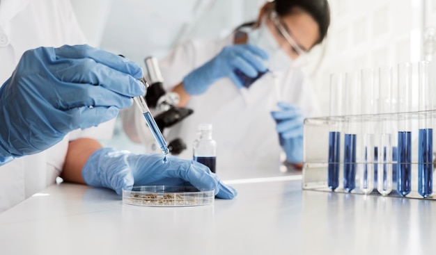 Free photo asian women working together on a chemical project