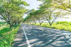 Free photo asphalt road in forest