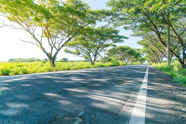 Free photo asphalt road in forest