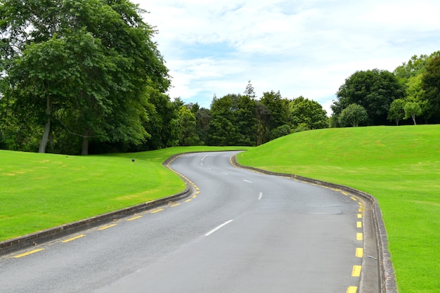 Free photo asphalt road surrounded by bright green hills and trees during daylight