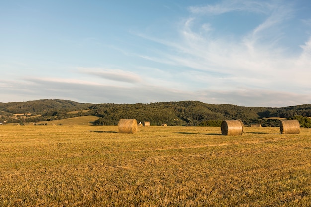 Free photo autumn concept with big rolls of hays