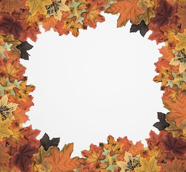 Free Photo autumn foliage picture frame