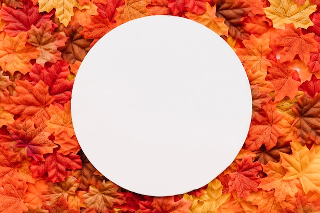 Free Photo autumn leaves background with round frame