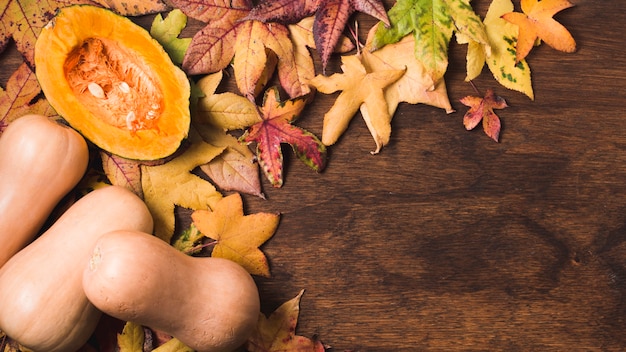  autumn leaves and butter squash copy space