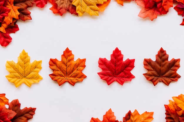 Free photo autumn leaves laying inside leaf border