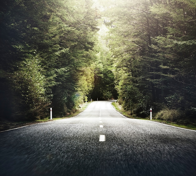 Free photo autumn themed country road with mountain range concept