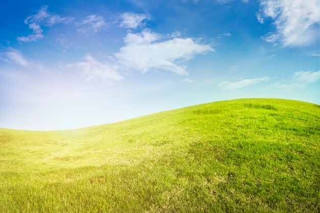 Free Photo background of curve grassland on blue sky with sunlight.