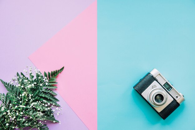 Background with camera and leaf