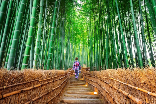 Free photo bamboo forest. asian woman wearing japanese traditional kimono at bamboo forest in kyoto, japan.