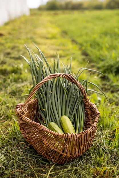 Free photo a basket with vegetables