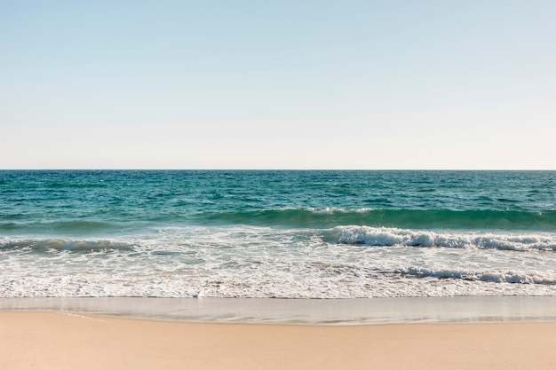 Free photo beach and ocean in summertime