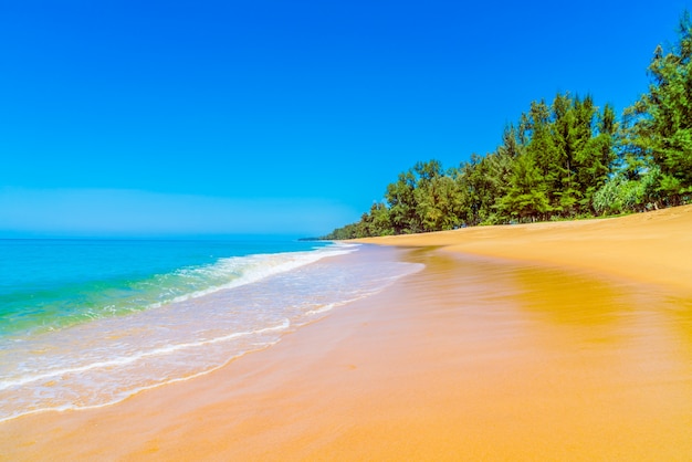 Free photo beach with wet sand and trees in background