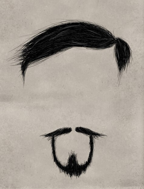 Beard, Hair and Thin mustache