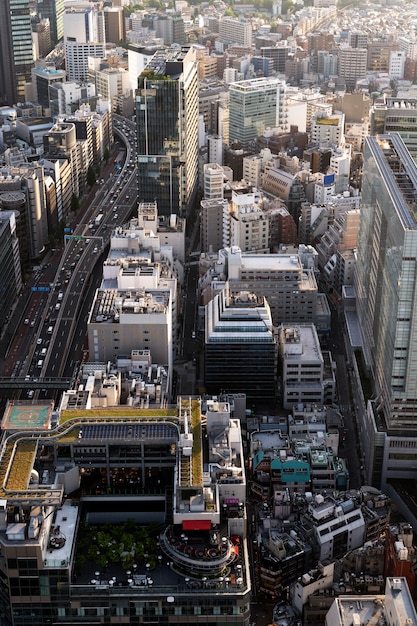 Beautiful city landscape high angle