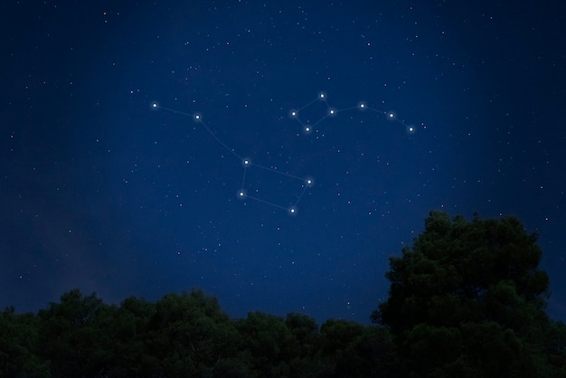 Foto gratuita belle costellazioni sul cielo blu