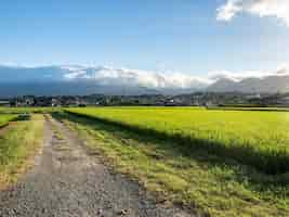 Free photo beautiful farmland in matsuda, kanagawa, japan