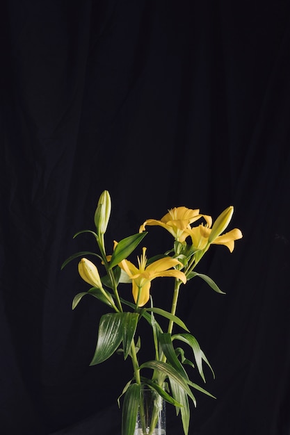 Free Photo beautiful fresh flowers with green leaves in vase