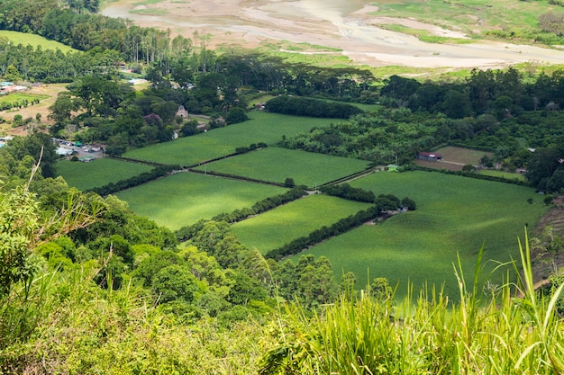 Beautiful green field of costa rican countryside